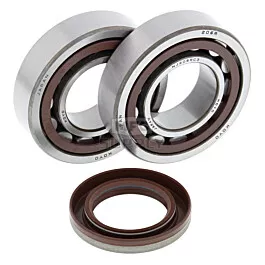 Aftermarket Crankshaft Bearing & Seal Kit for 2008-2009 KTM & 2007-2011 Polaris 450 & 525 Model ATV's
