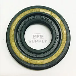 Oil Seal (30x62/65x9)