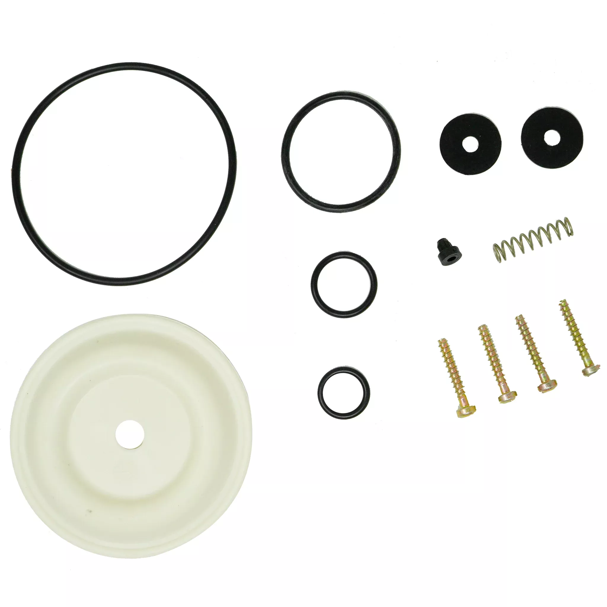 Solo 0610406-K Diaphram Pump Repair