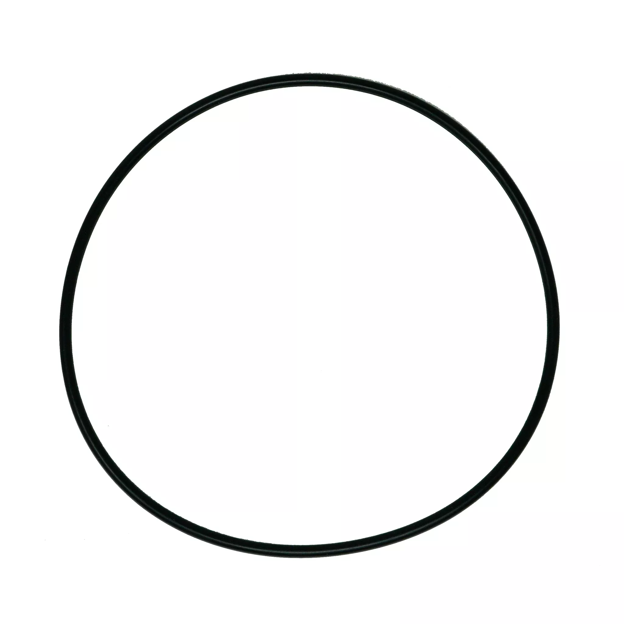 Western 66519 O-Ring